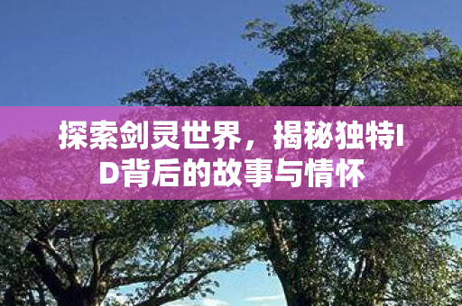 揭秘独特ID背后的故事与情怀图片