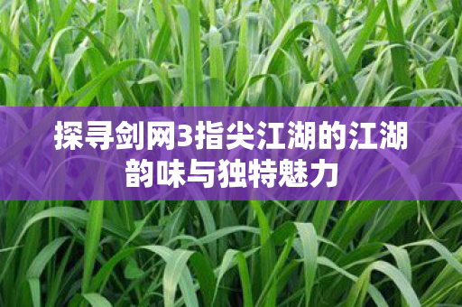 探寻剑网3指尖江湖的江湖韵味与独特魅力图片