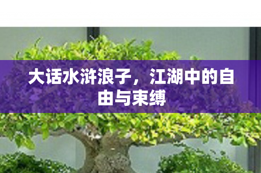 江湖中的自由与束缚图片