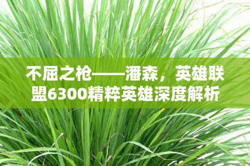 英雄联盟6300精粹英雄深度解析图片