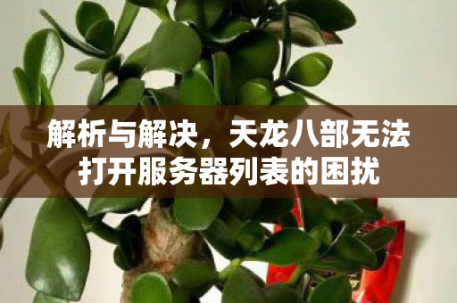 天龙八部无法打开服务器列表的困扰图片