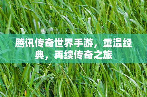 腾讯传奇世界手游图片