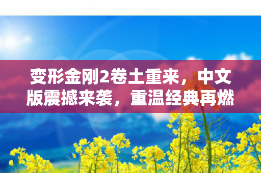 变形金刚2中文版震撼来袭图片