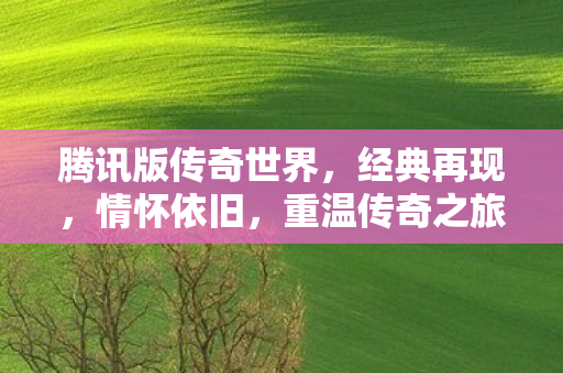 腾讯版传奇世界图片