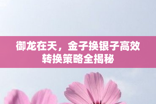 金子换银子高效转换策略全揭秘图片