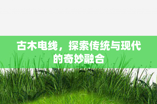 探索传统与现代的奇妙融合图片