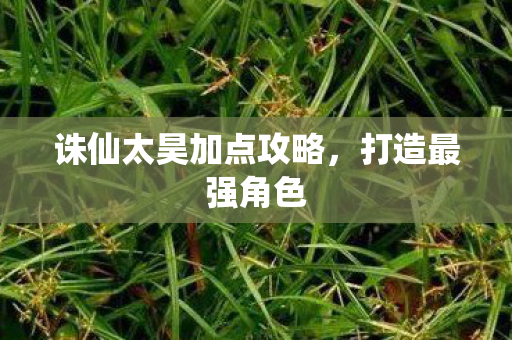 诛仙太昊加点攻略图片