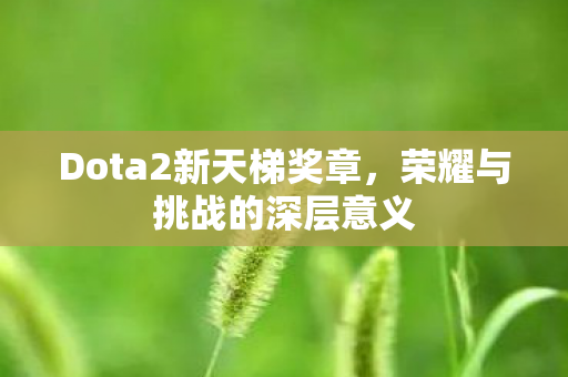 Dota2新天梯奖章图片