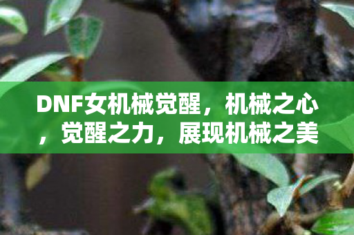 展现机械之美的终极形态图片