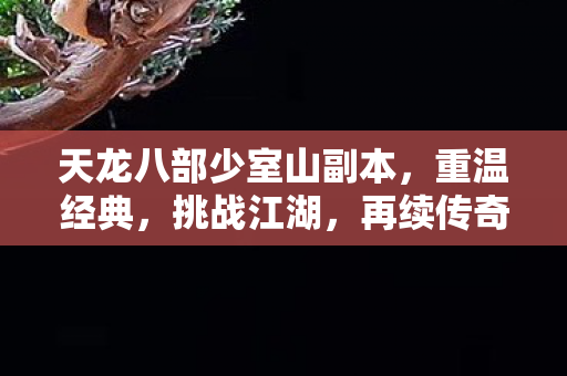 天龙八部少室山副本图片
