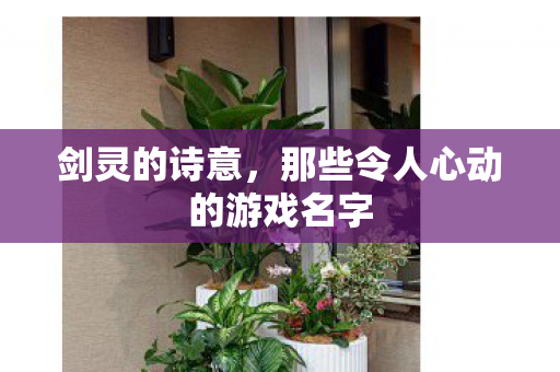 那些令人心动的游戏名字图片