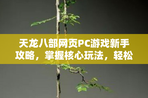 天龙八部网页PC游戏新手攻略图片