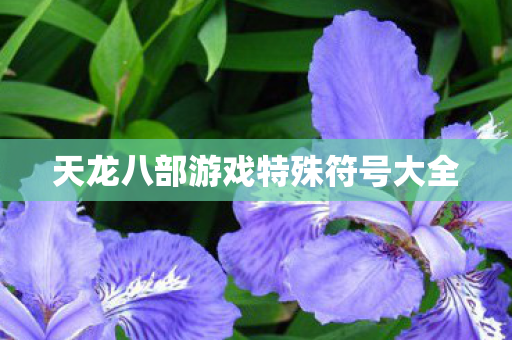 天龙八部游戏特殊符号大全图片