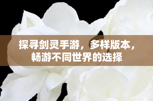畅游不同世界的选择图片