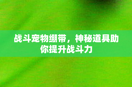 神秘道具助你提升战斗力图片