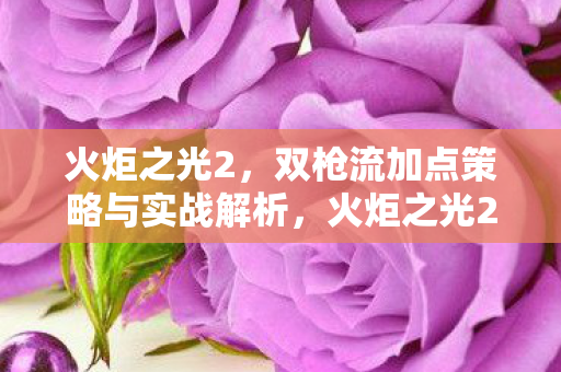 火炬之光2双枪流加点策略与实战全解析图片