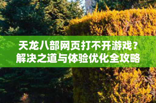 解决之道与体验优化全攻略图片