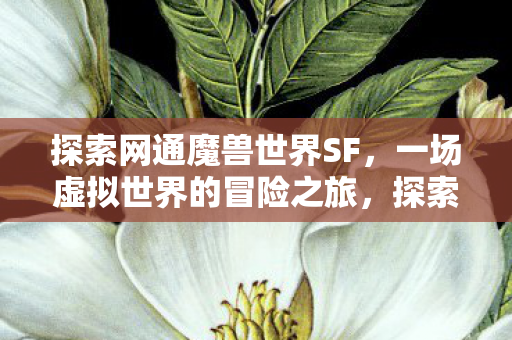 探索网通魔兽世界SF,一场虚拟世界的冒险之旅,探索网通魔兽世界SF,虚拟世界的冒险之旅 探索网通魔兽世界SF,一场虚拟世界的冒险之旅,探索网通魔兽世界SF,虚拟世界的冒险之旅