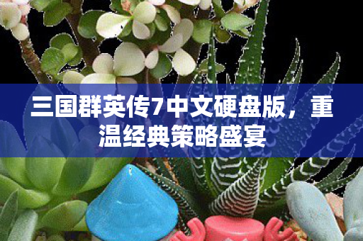 三国群英传7中文硬盘版图片
