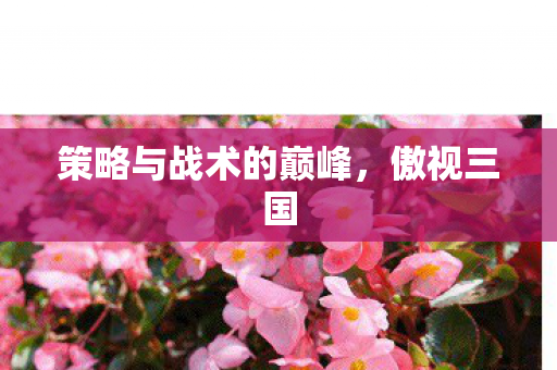 策略与战术的巅峰图片
