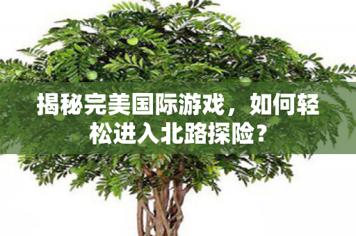 如何轻松进入北路探险图片