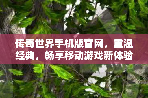 传奇世界手机版官网图片