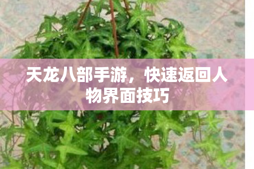 快速返回人物界面技巧图片