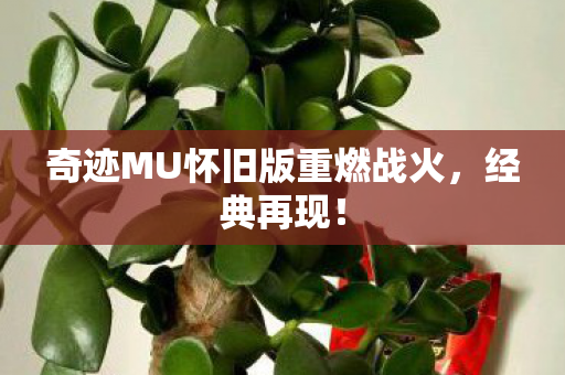 奇迹MU怀旧版重燃战火图片