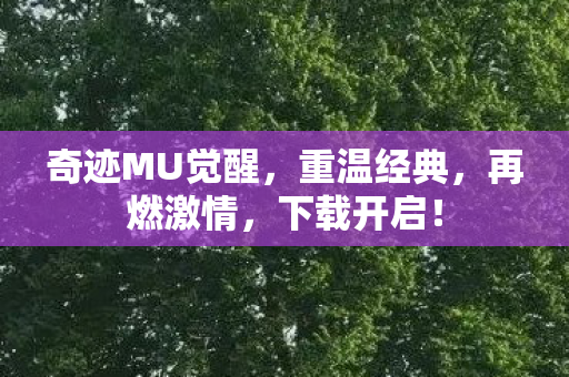 奇迹MU觉醒图片