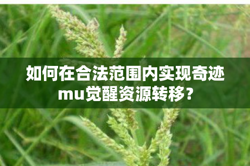 如何在合法范围内实现奇迹mu觉醒资源转移图片