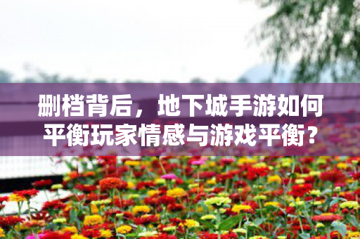 地下城手游如何平衡玩家情感与游戏平衡图片