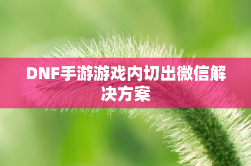 DNF手游游戏内切出微信解决方案图片
