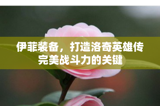 打造洛奇英雄传完美战斗力的关键图片