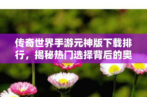 传奇世界手游元神版下载排行图片