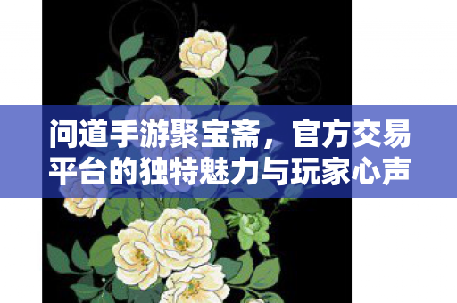 官方交易平台的独特魅力与玩家心声图片