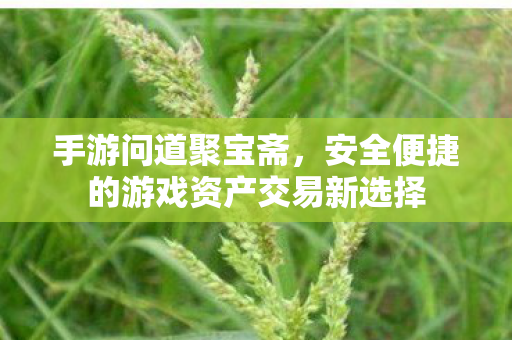 安全便捷的游戏资产交易新选择图片