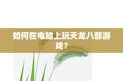 如何在电脑上玩天龙八部游戏图片