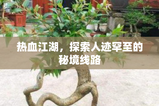 探索人迹罕至的秘境线路图片