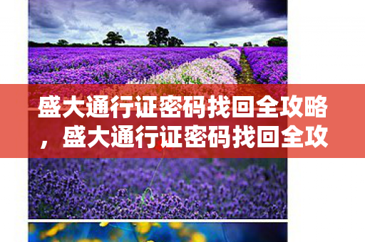 盛大通行证密码找回全攻略图片