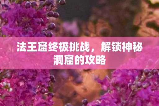 解锁神秘洞窟的攻略图片