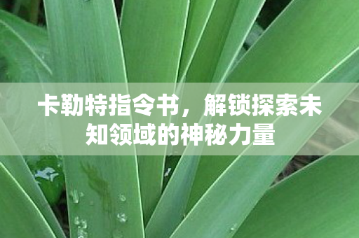解锁探索未知领域的神秘力量图片