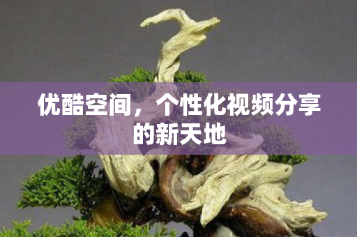 个性化视频分享的新天地图片