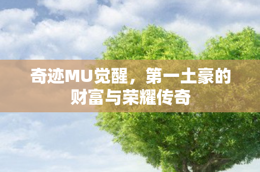 第一土豪的财富与荣耀传奇图片