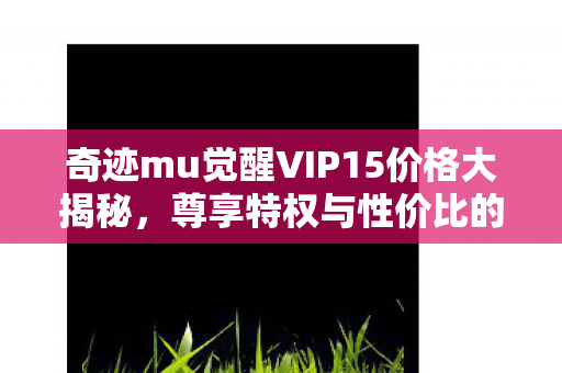 奇迹mu觉醒VIP15价格大揭秘图片