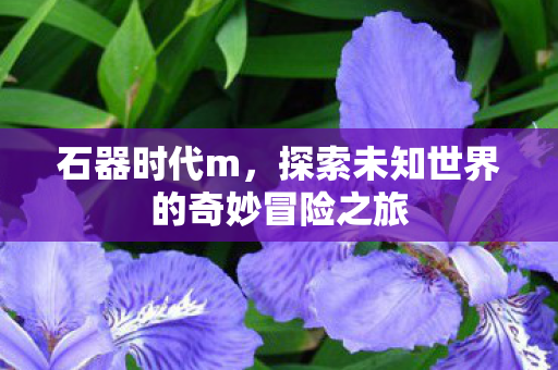 探索未知世界的奇妙冒险之旅图片