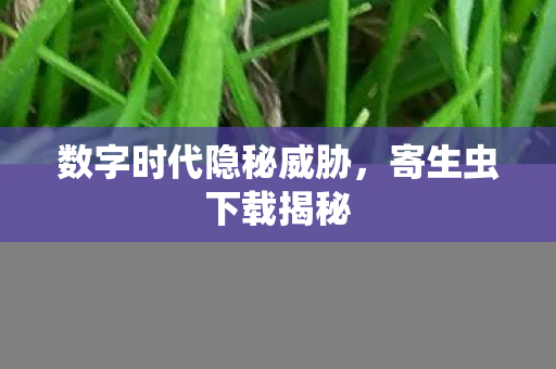 数字时代隐秘威胁图片