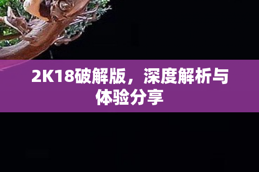 深度解析与体验分享图片