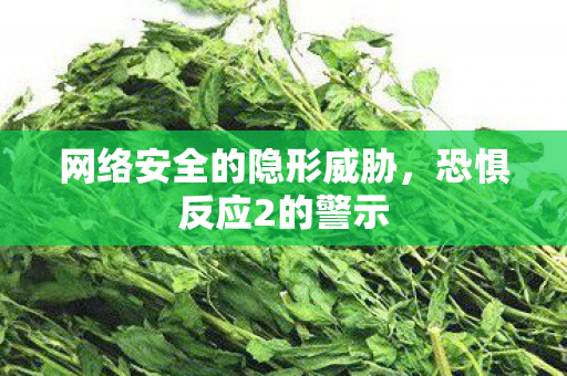 网络安全的隐形威胁图片