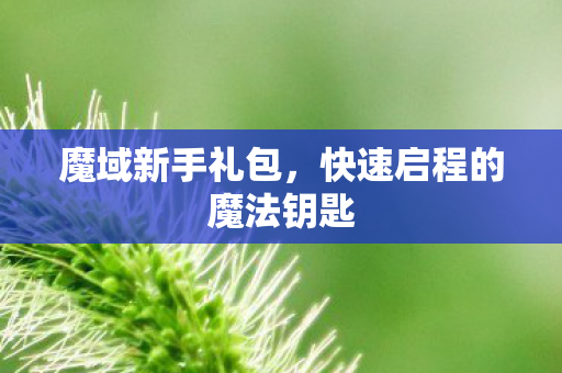 快速启程的魔法钥匙图片