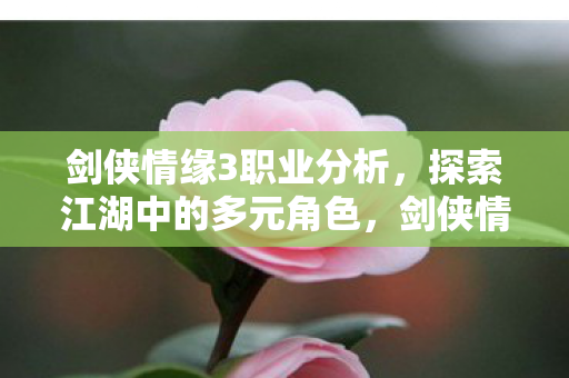 多元角色探索江湖职业分析图片